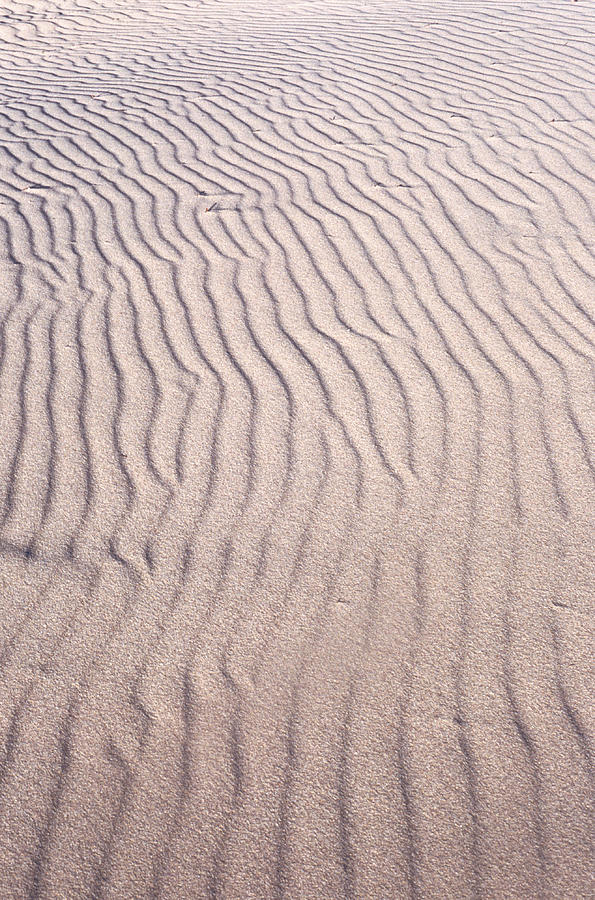 Sand Ripples Photograph by John Foxx