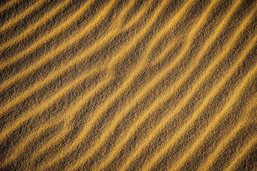 Sand Ripples Photograph by Owen Weber