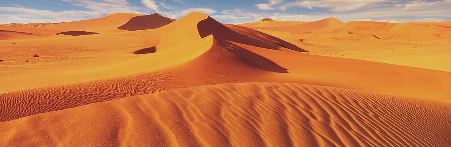 Sand Sea, Namib Desert, Namibia, Africa Photograph by Peter Adams
