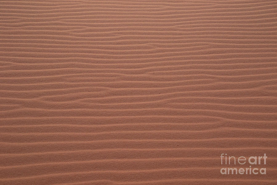 Coral Pink Sand Dunes Photograph - Sand Waves  F1035 by Stephen Parker