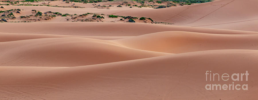 Coral Pink Sand Dunes Photograph - Sand Waves Panorama  F1054P by Stephen Parker