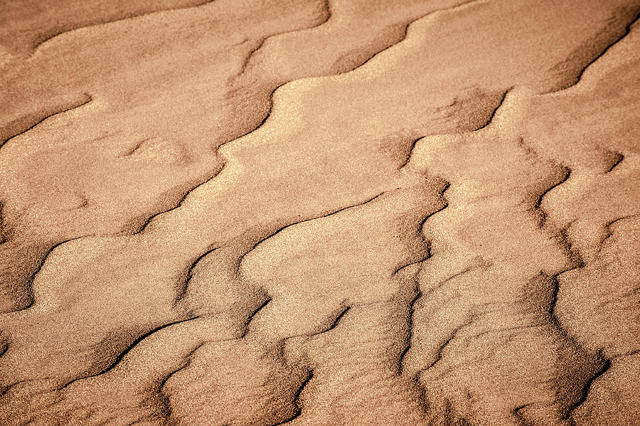 Sand Wind Photograph by Dan Ballard - Fine Art America