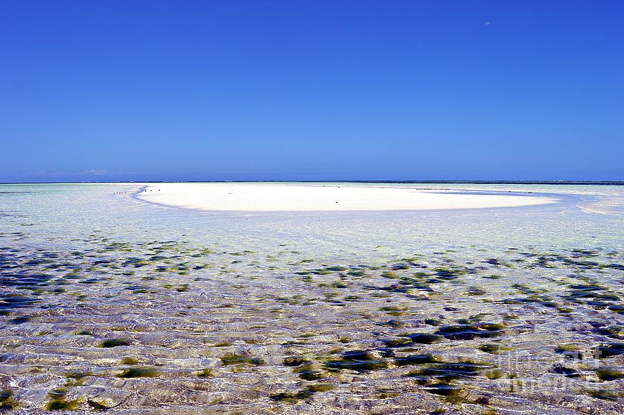 Sandbank / Zanzibar Photograph by Thomas Schroeder