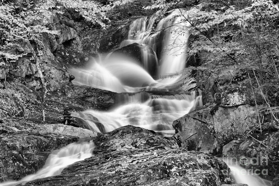 Sanderson Brook Falls Black And White Photograph by Adam Jewell