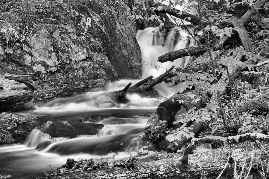 Sanderson Brook Falls Casdades Black And White Photograph by Adam Jewell