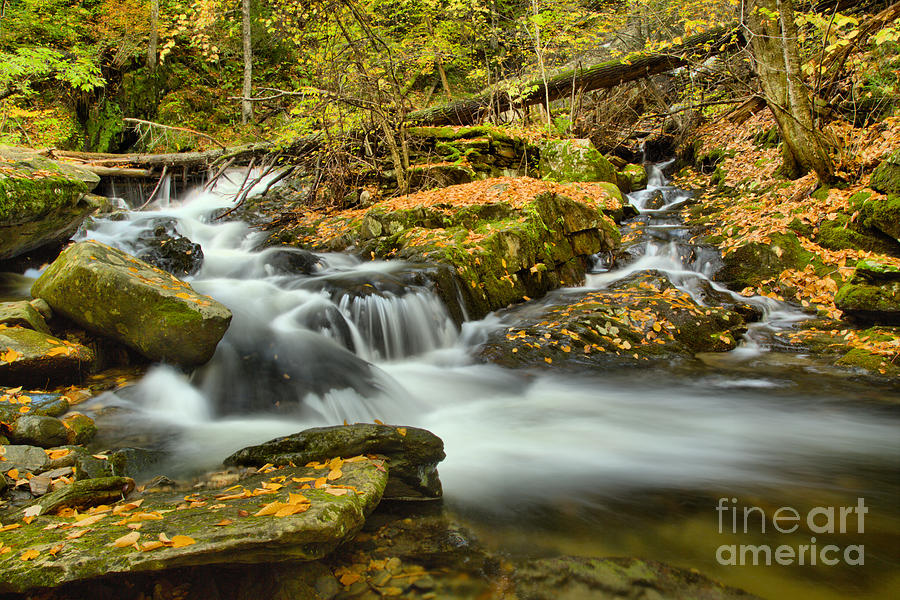 Sanderson Brook Falls Stream Photograph by Adam Jewell