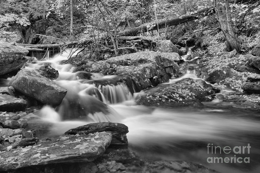 Sanderson Brook Falls Stream Black And White Photograph by Adam Jewell