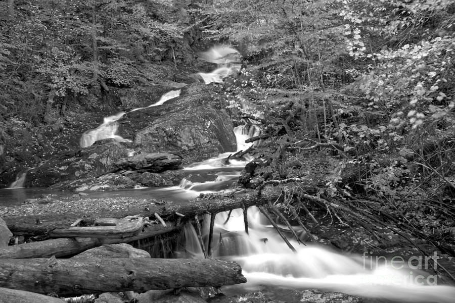 Sanderson Brook Falls Through The Logs Black And White Photograph by Adam Jewell