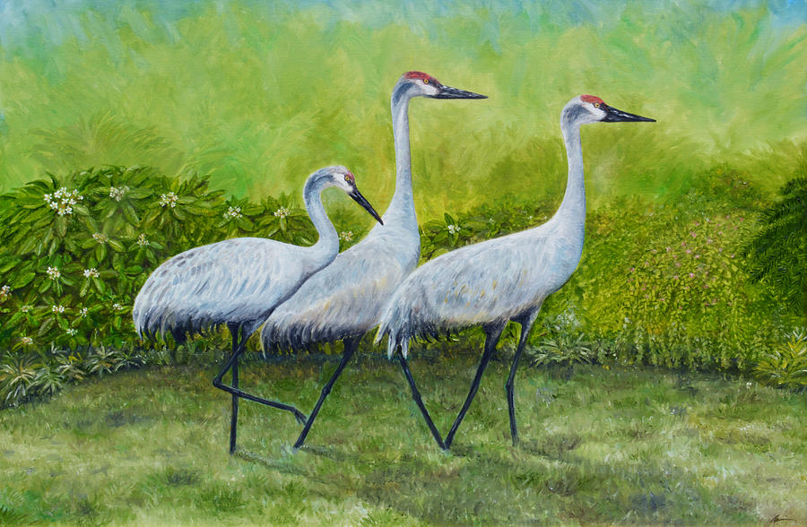 Sandhill Cranes Painting by Brad Thomas - Pixels