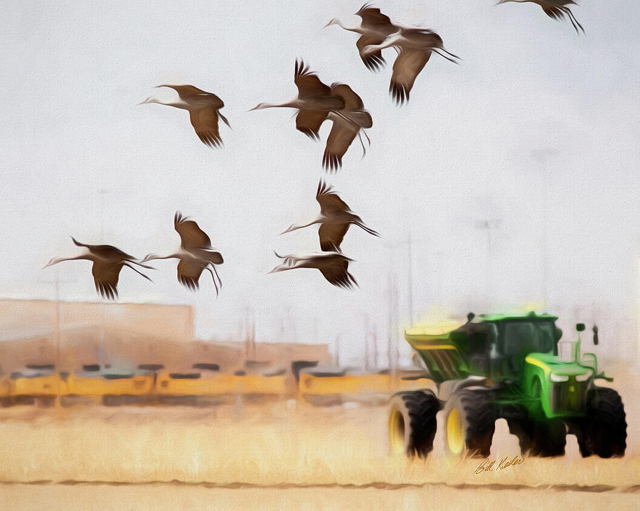 Sandhill Cranes Fly By Deere Photograph by Bill Kesler