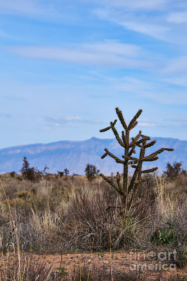 Sandia Mountains Photograph by Robert WK Clark