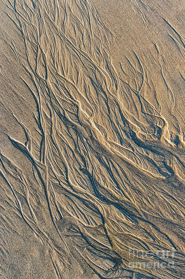 Pattern Photograph - Sandmotion by Tim Gainey