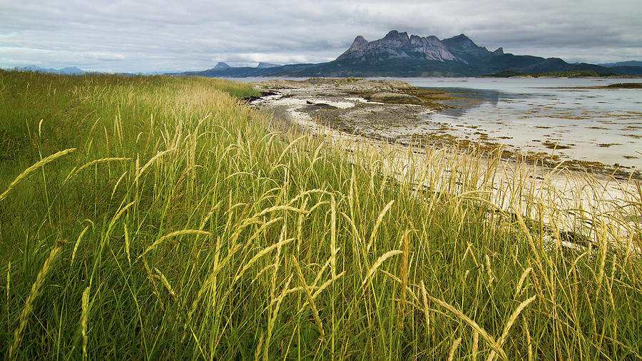 Sandneset Photograph by Trond Strømme