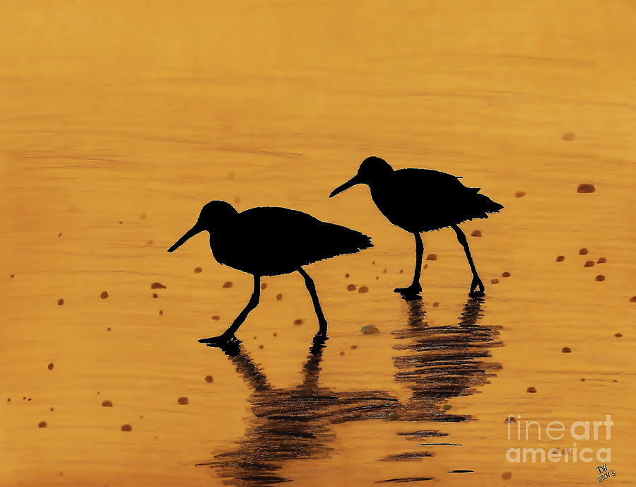 Sandpiper Drawing - Sandpipers - At - Sunrise by D Hackett