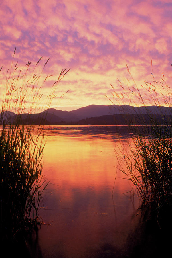 Sandpoint, Id, Sunset On Lake Pond Photograph by Mark Gibson