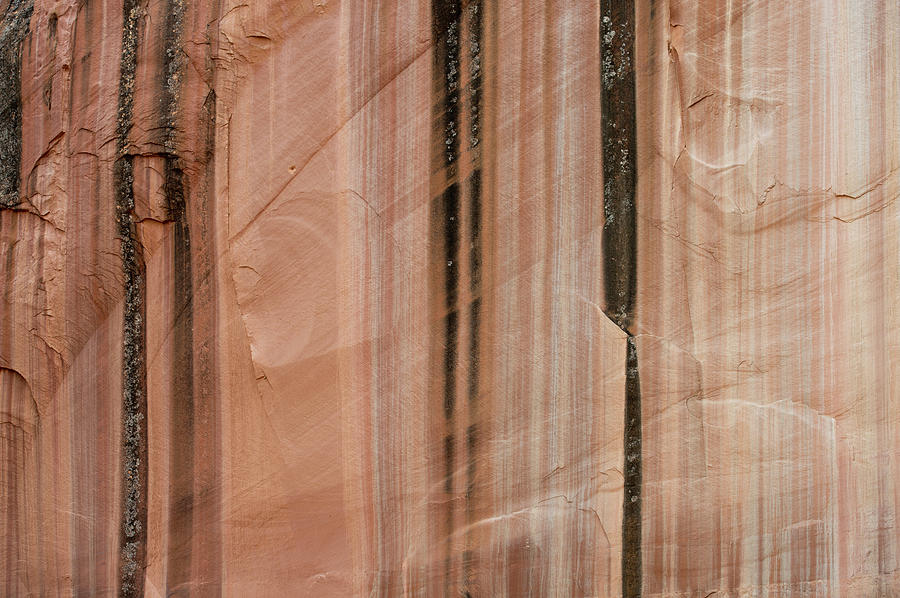 Abstract Photograph - Sandstone Cliff Above Calf Creek Trail by William Mullins Abstract Photograph - Sandstone Cliff Above Calf Creek Trail by William Mullins