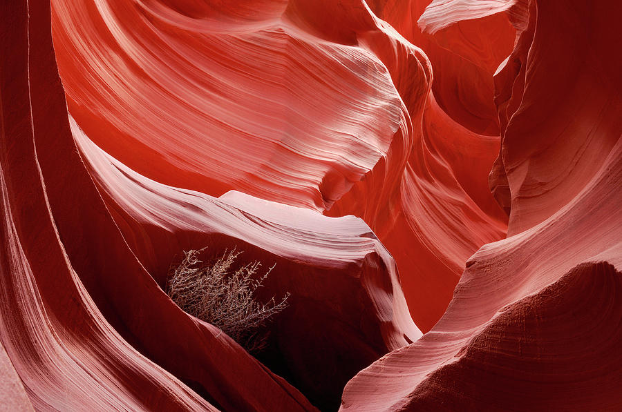Sandstone Cliff Walls In Slot Canyon Photograph by Martin Ruegner