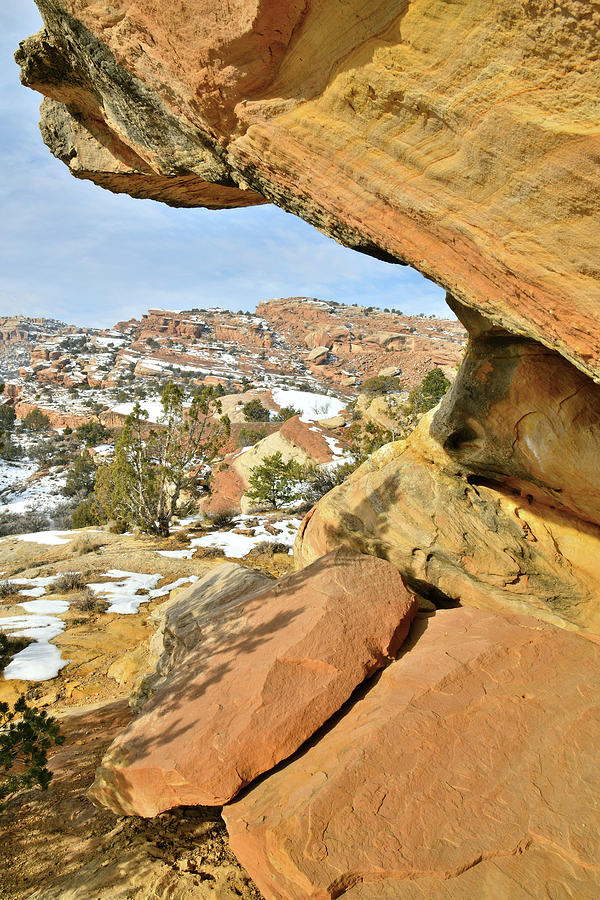 Sandstone Cove on East Side of Colorado National Monument Photograph by Ray Mathis