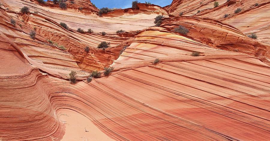 Sandstone Curves And Layers- Coyote Photograph by Photograph By Michael Schwab