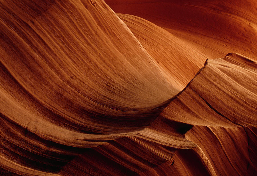 Sandstone Erosion  Detail Antelope Photograph by Nhpa