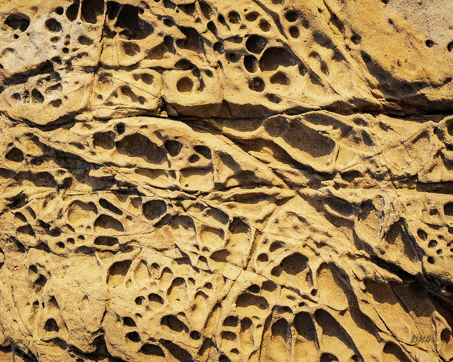 Sandstone Erosion II Color Photograph by David Gordon