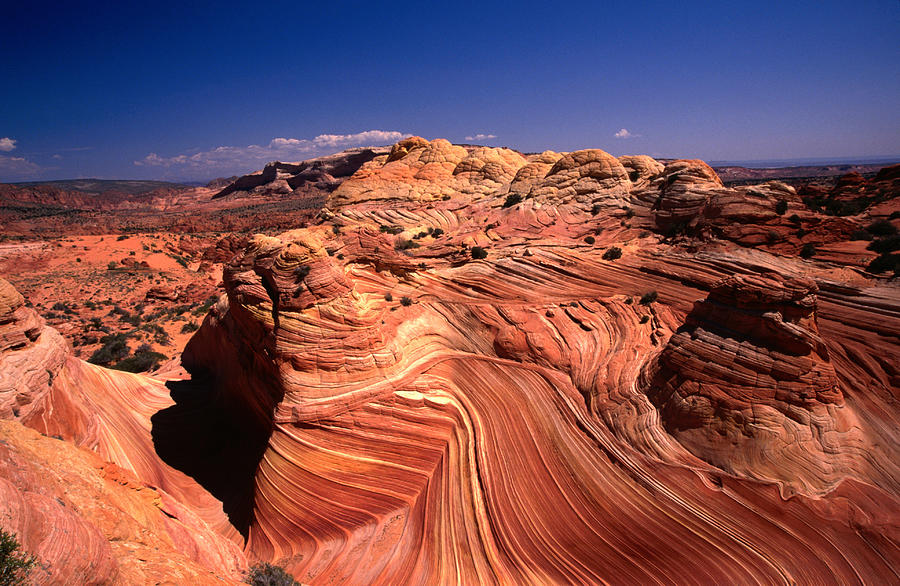 Sandstone Erosion Of The Colorado Photograph by Mark  Newman