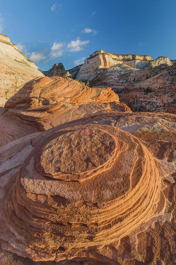Sandstone Formations In Zion Natl Park Photograph by Jeff Foott