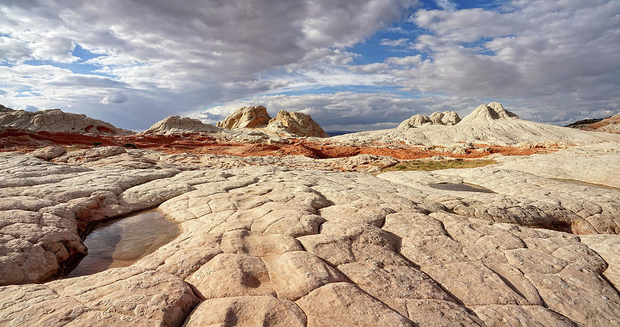 Sandstone Landscape Photograph by Leda Robertson