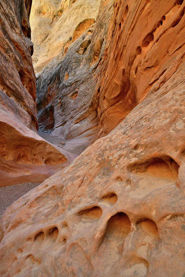 Sandstone Mosaics in Little Wild Horse Canyon Photograph by Ray Mathis
