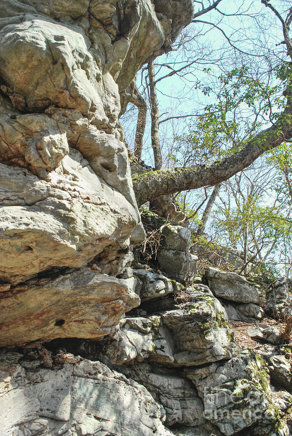 Sandstone Outcropping Photograph by Phil Perkins