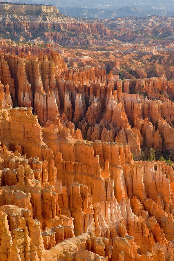 Sandstone Pinnacles,  Bryce Canyon N.p Photograph by Eastcott Momatiuk