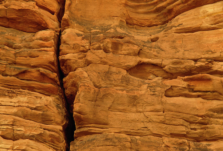 Sandstone Rockface  Zion National Park Photograph by Nhpa