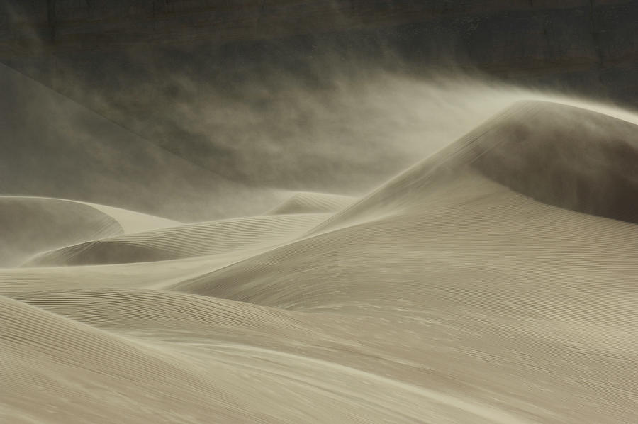 Sandstorm In Desert Photograph by Moodboard