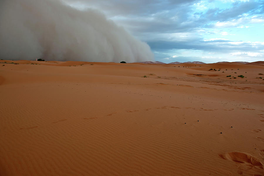 Sandstorm In Erg Chebbi Desert Morocco Photograph by Pavliha