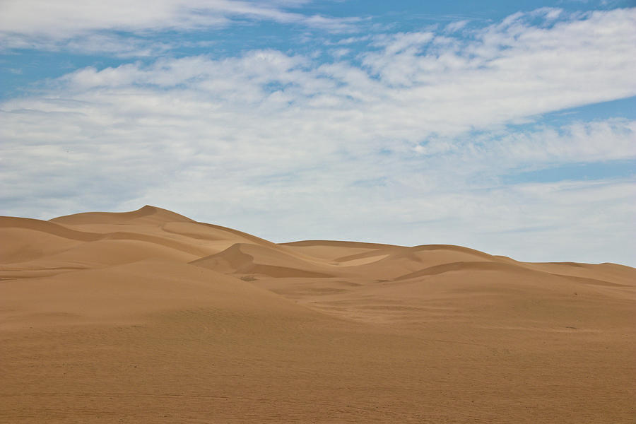 Sandy Dooms Photograph by H Mob - Fine Art America