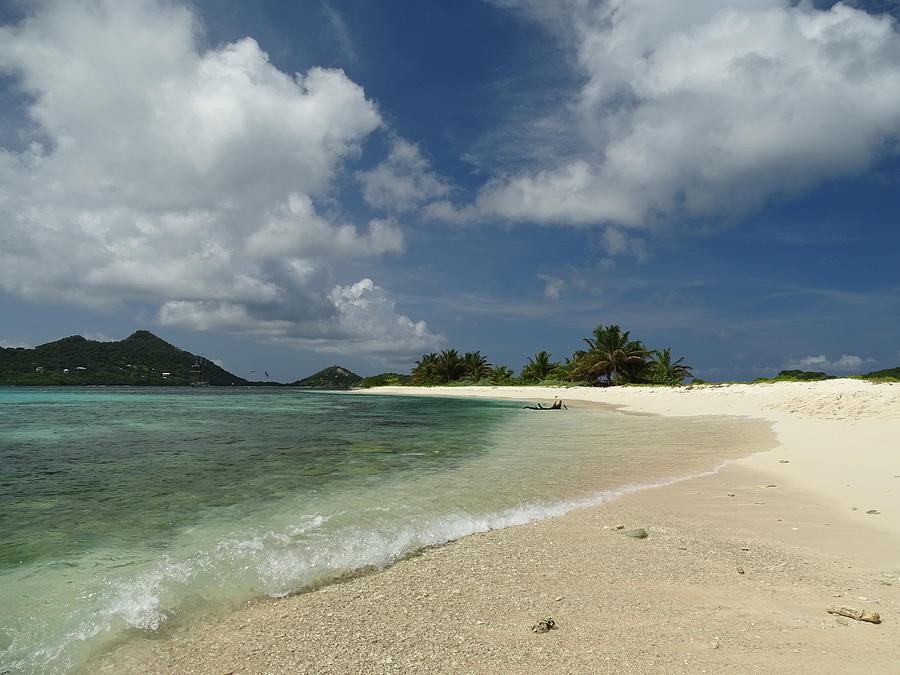 West Indies Sandy Island Photograph by Dan Podsobinski