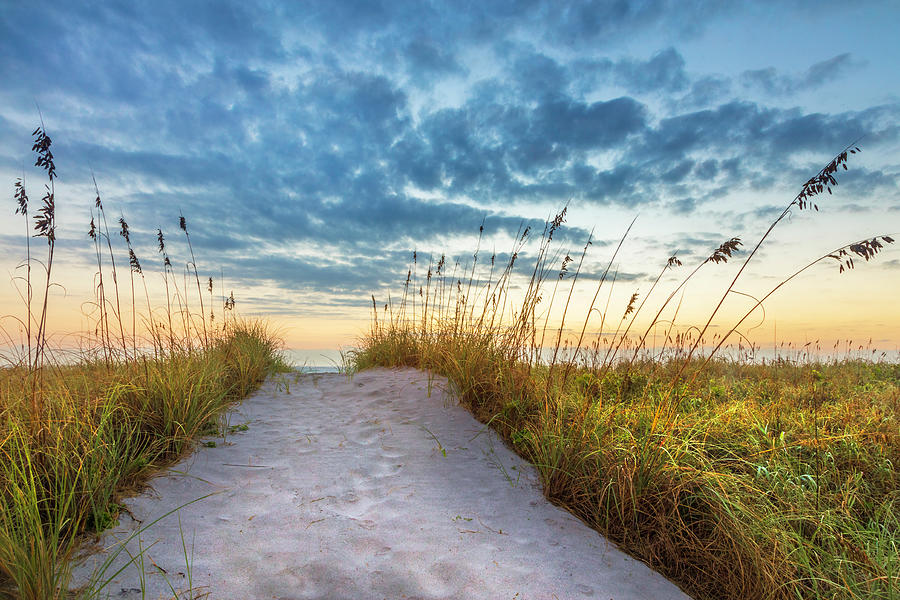 Sandy Path Over the Dunes Photograph by Debra and Dave Vanderlaan