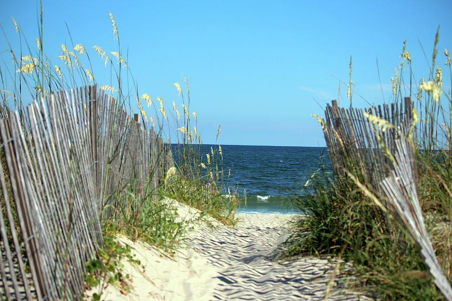 Sandy Path To The Sea Photograph by Cynthia Guinn