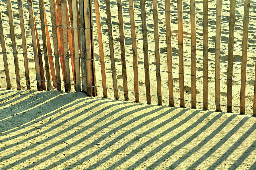 Sandy Pinstripes Photograph by JAMART Photography