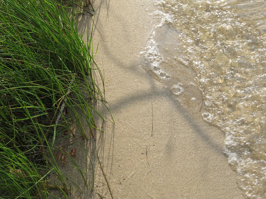 Sandy Wave With Grass - #5787 Photograph by StormBringer Photography