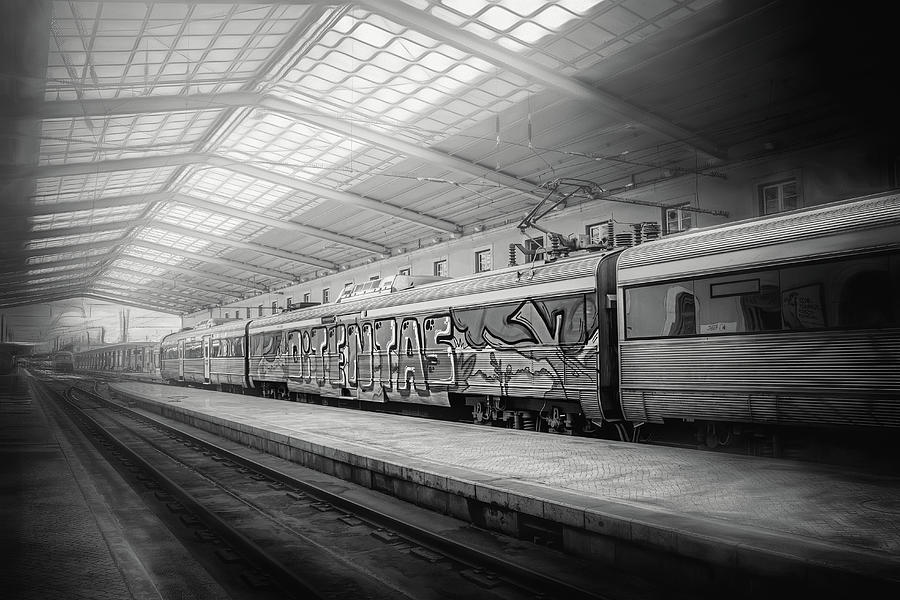 Train Photograph - Santa Apolonia Railway Station Lisbon by Carol Japp
