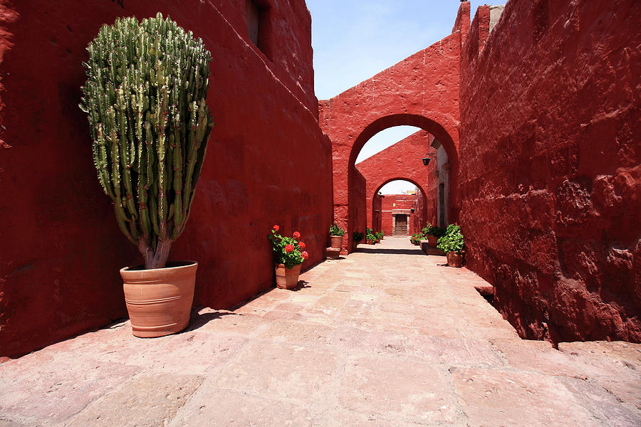 Santa Catalina Monastery, Peru Photograph by Aidan Moran