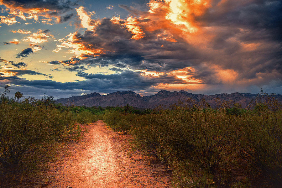 Santa Catalina Mountains Path, Tucson Photograph by Chance Kafka