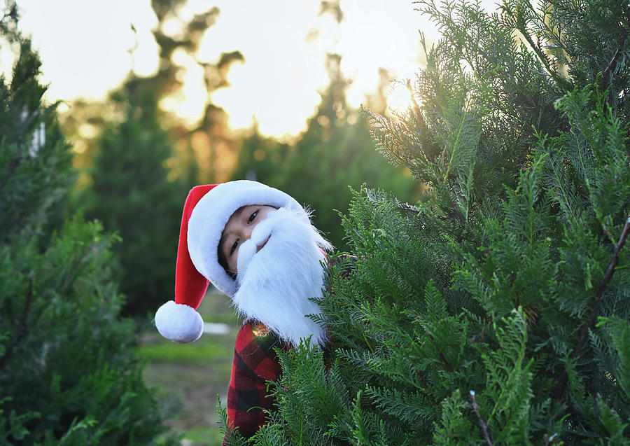 Holiday Photograph - Santa Claus Is Coming To Town by Andrea Anderegg