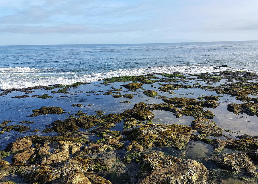 Santa Cruz Low Tide Photograph by Jennifer Hoggan Fine Art America