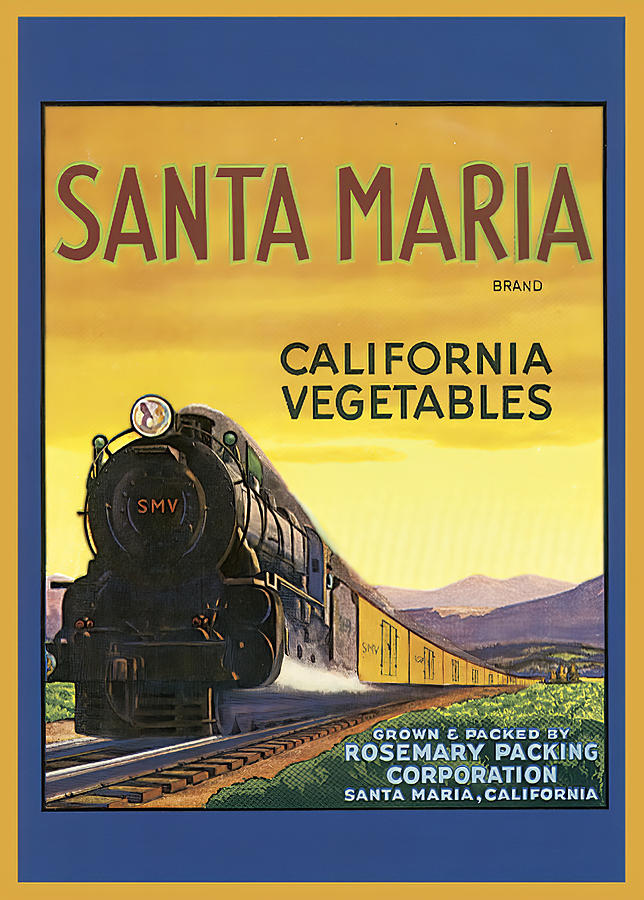 Santa Maria California Vegetables Photograph by Studio Artist