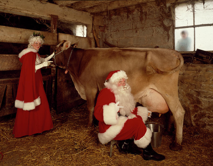 Santa Milks a Cow Painting by Carol  Highsmith