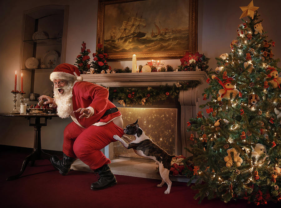 Christmas Photograph - Santa Was Caught! by Ddiarte