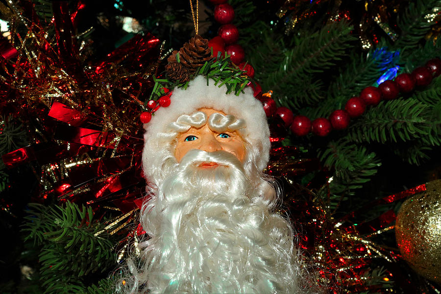 Santa, with a long beard, hanging on a Christmas tree Photograph by Doc Braham