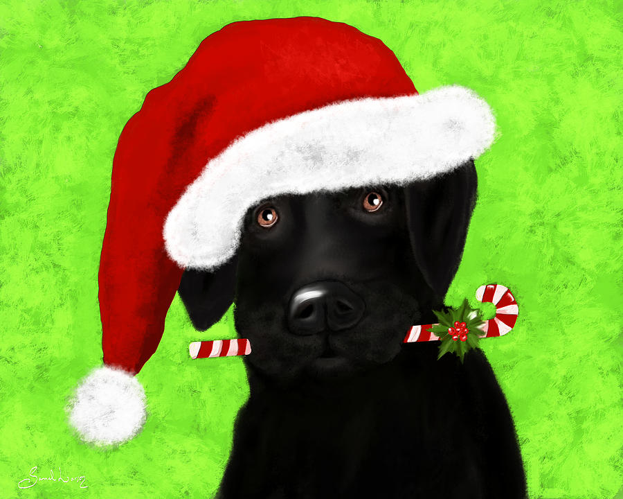 Santa's Little Helper by Sannel Larson Santa's Little Helper by Sannel Larson